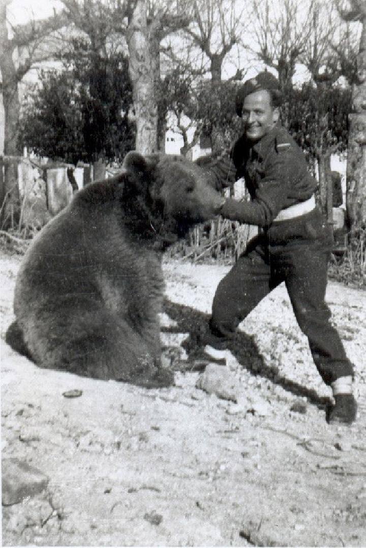 Wojtek wrestling a soldier
